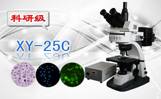 PUZHE蒲柘      XS-25C      荧光生物显微镜