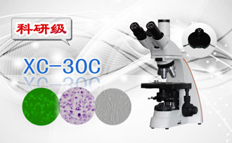 PUZHE蒲柘      XS-30C      相衬生物显微镜