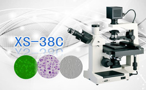 PUZHE蒲柘 &nbsp;&nbsp;&nbsp;&nbsp;XS-38C &nbsp;&nbsp;&nbsp;&nbsp;&nbsp;&nbsp;倒置生物显微镜