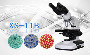 PUZHE蒲柘 &nbsp;&nbsp;&nbsp;&nbsp;&nbsp;&nbsp;&nbsp;XS-11B &nbsp;&nbsp;&nbsp;生物显微镜