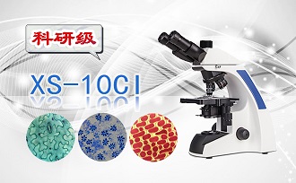 PUZHE蒲柘      XS-10CI      生物显微镜