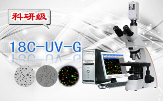 PUZHE蒲柘      18C-UV-G     显微镜
