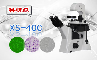 PUZHE蒲柘      XS-40C       倒置生物显微镜