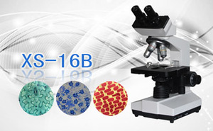 PUZHE蒲柘 &nbsp;&nbsp;&nbsp;&nbsp;&nbsp;&nbsp;&nbsp;XS-16B &nbsp;&nbsp;&nbsp;生物显微镜