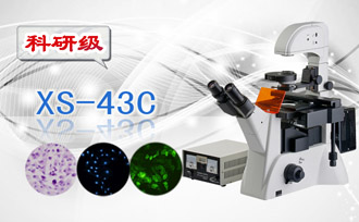PUZHE蒲柘      XS-43C      倒置生物显微镜