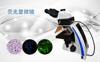 PUZHE蒲柘      XS-24C-1      荧光生物显微镜