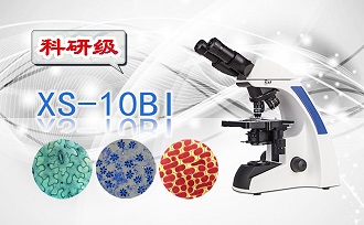 PUZHE蒲柘       XS-10BI       生物显微镜