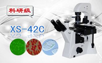 PUZHE蒲柘     XS-42C      倒置生物显微镜