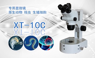 PUZHE蒲柘     XT-10C      体视显微镜