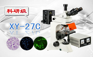 PUZHE蒲柘 &nbsp;&nbsp;&nbsp;&nbsp;XS-27C &nbsp;&nbsp;&nbsp;荧光生物显微镜
