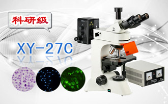 PUZHE蒲柘     XS-27C    荧光生物显微镜