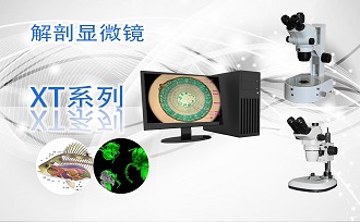 PUZHE蒲柘     XT-10C      显微镜