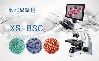 PUZHE蒲柘       XS-8SC        数码生物显微镜