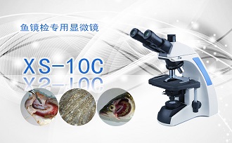 PUZHE蒲柘      XS-10C      显微镜