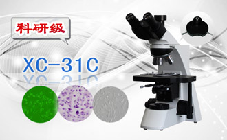 PUZHE蒲柘      XS-31C      相衬生物显微镜