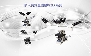 PUZHE蒲柘 &nbsp;&nbsp;&nbsp;&nbsp;&nbsp;PZGLA &nbsp;&nbsp;&nbsp;多人共览显微镜