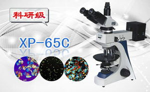 PUZHE蒲柘 &nbsp;&nbsp;&nbsp;&nbsp;XP-65C &nbsp;&nbsp;&nbsp;&nbsp;偏光显微镜