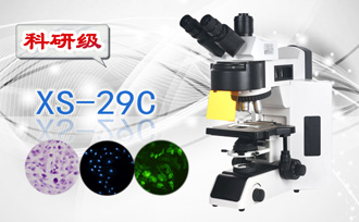 PUZHE蒲柘     XS-29C      荧光生物显微镜