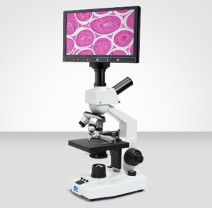 Murzider &nbsp;&nbsp;迈时迪 &nbsp;&nbsp;&nbsp;&nbsp;&nbsp;&nbsp;MSD101 &nbsp;&nbsp;&nbsp;&nbsp;生物显微镜