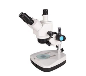 ZHANJING湛京 &nbsp;&nbsp;&nbsp;&nbsp;&nbsp;XTL-2TB &nbsp;&nbsp;&nbsp;&nbsp;光学显微镜