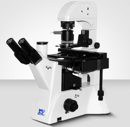 Murzider   迈时迪    MSD531DIC     生物显微镜