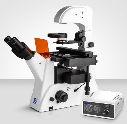 Murzider   迈时迪      MSD530DT     生物显微镜
