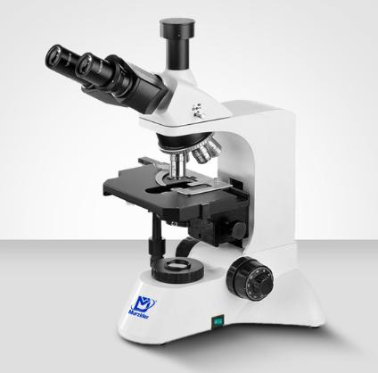 Murzider   迈时迪    MSD3750     生物显微镜