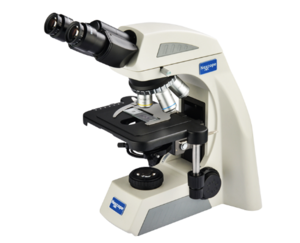 NOVEL 永新 &nbsp;&nbsp;&nbsp;NE610 &nbsp;&nbsp;&nbsp;&nbsp;生物显微镜
