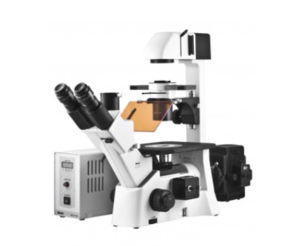 麦克奥迪Motic &nbsp;&nbsp;&nbsp;&nbsp;&nbsp;&nbsp;AE31 &nbsp;&nbsp;&nbsp;荧光显微镜